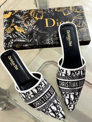 Dior Embroided Loafers