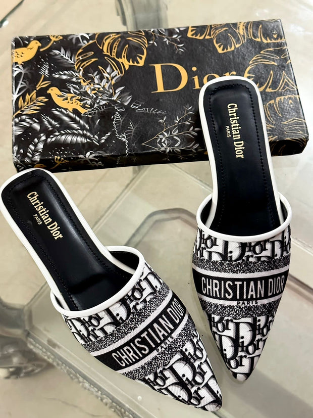 Dior Embroided Loafers