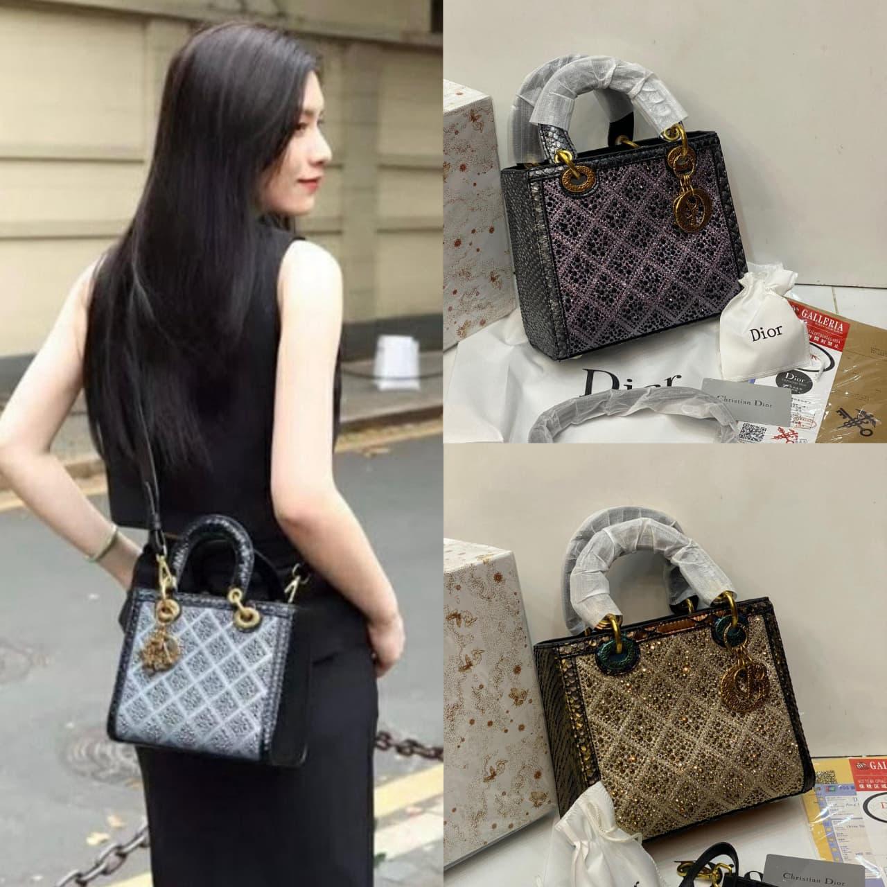 Dior Shine Stone Bag