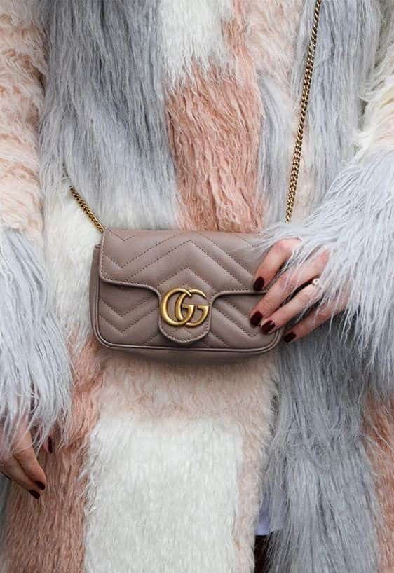 Gucci Mormont