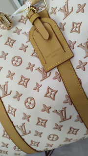 LV Travelling Bags