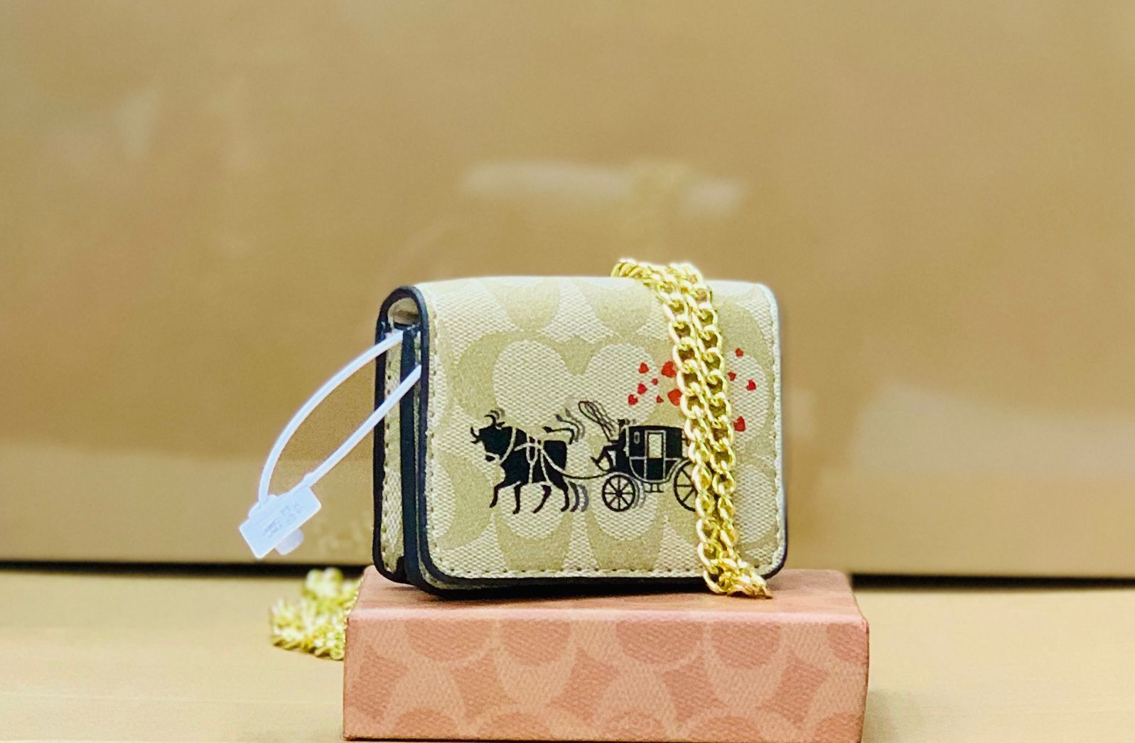 Coach Mini Wallet Crossbody Bags