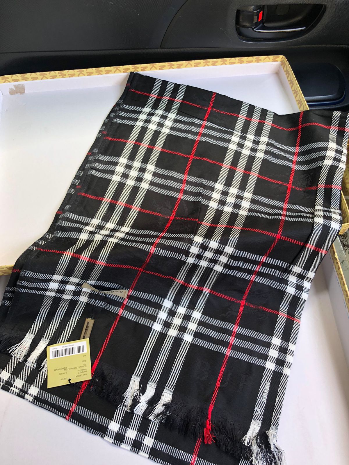 Burberry Scarves