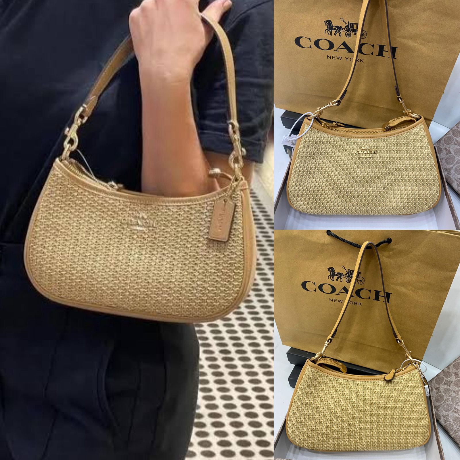 Coach Canvas Teri Bag