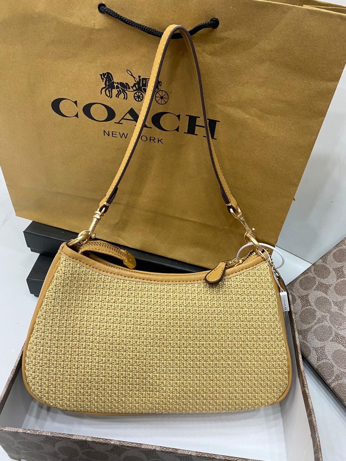 Coach Canvas Teri Bag