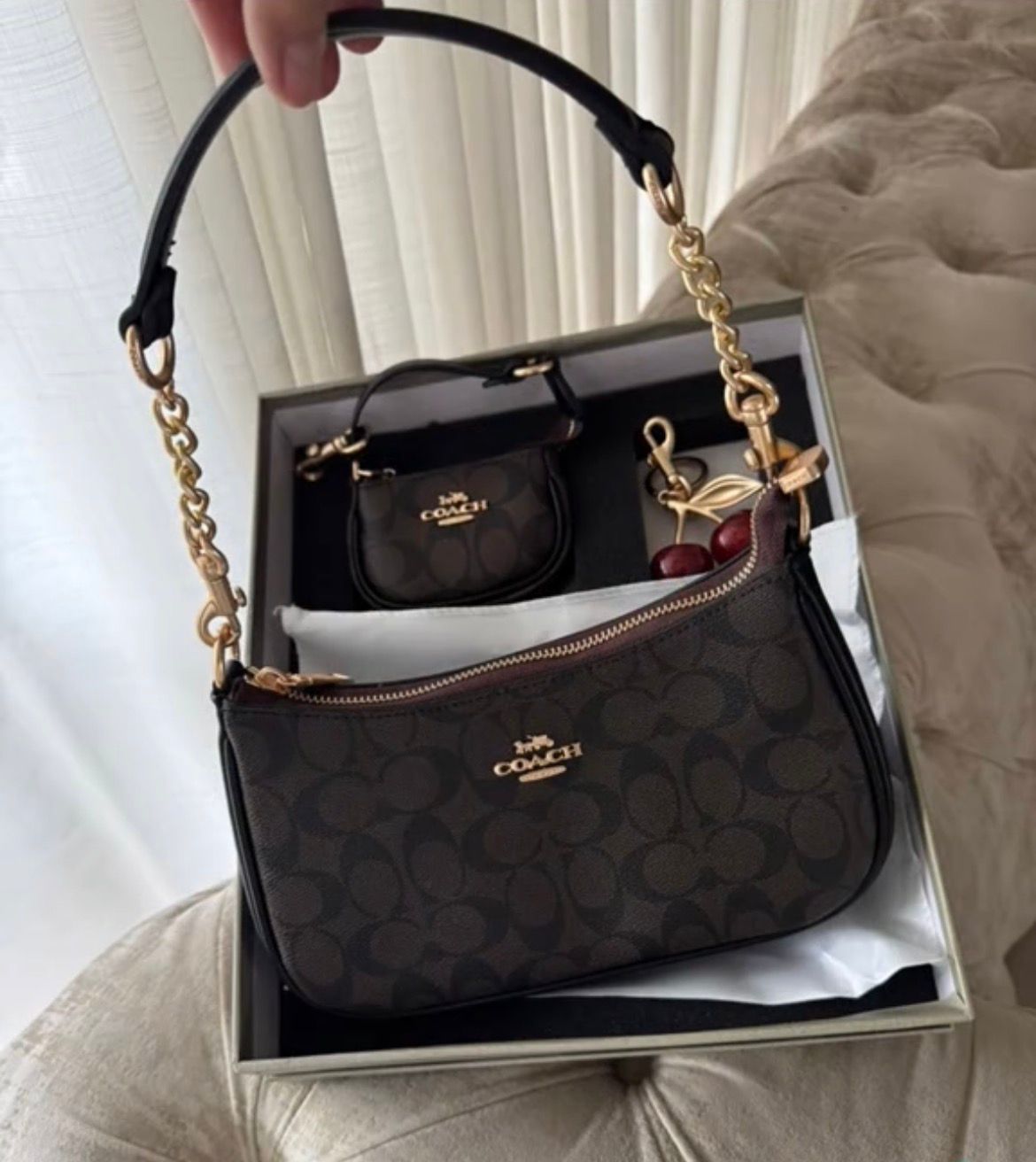 Coach Teri Bag Gift Set