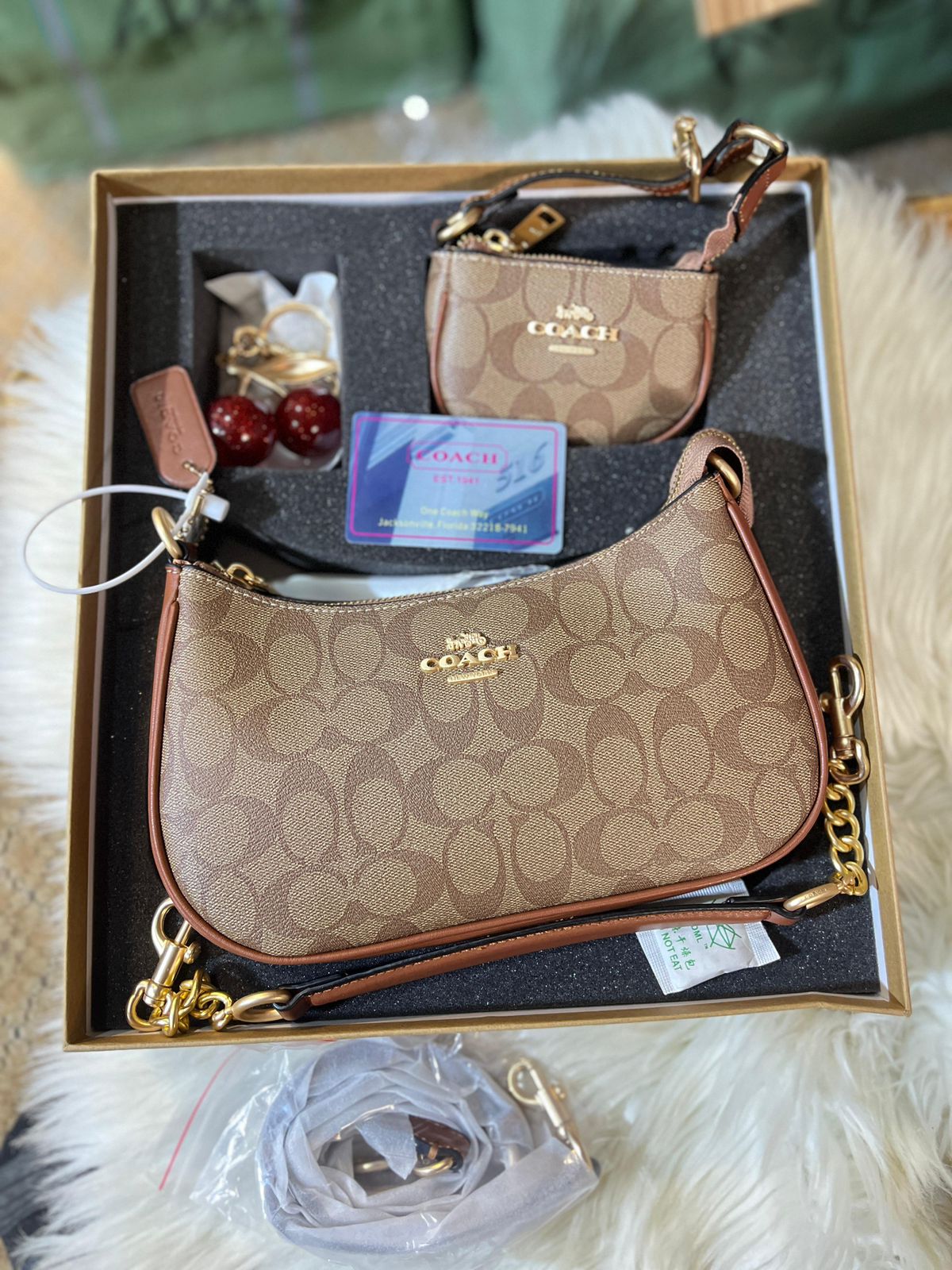 Coach Teri Bag Gift Set