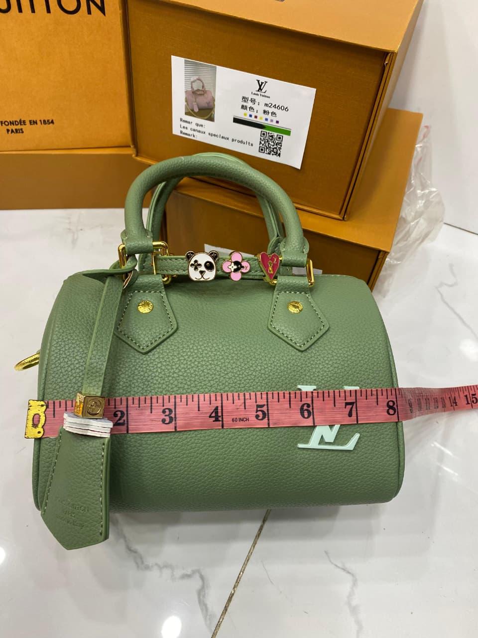 Louis Vuitton Speedy Duffle Bag