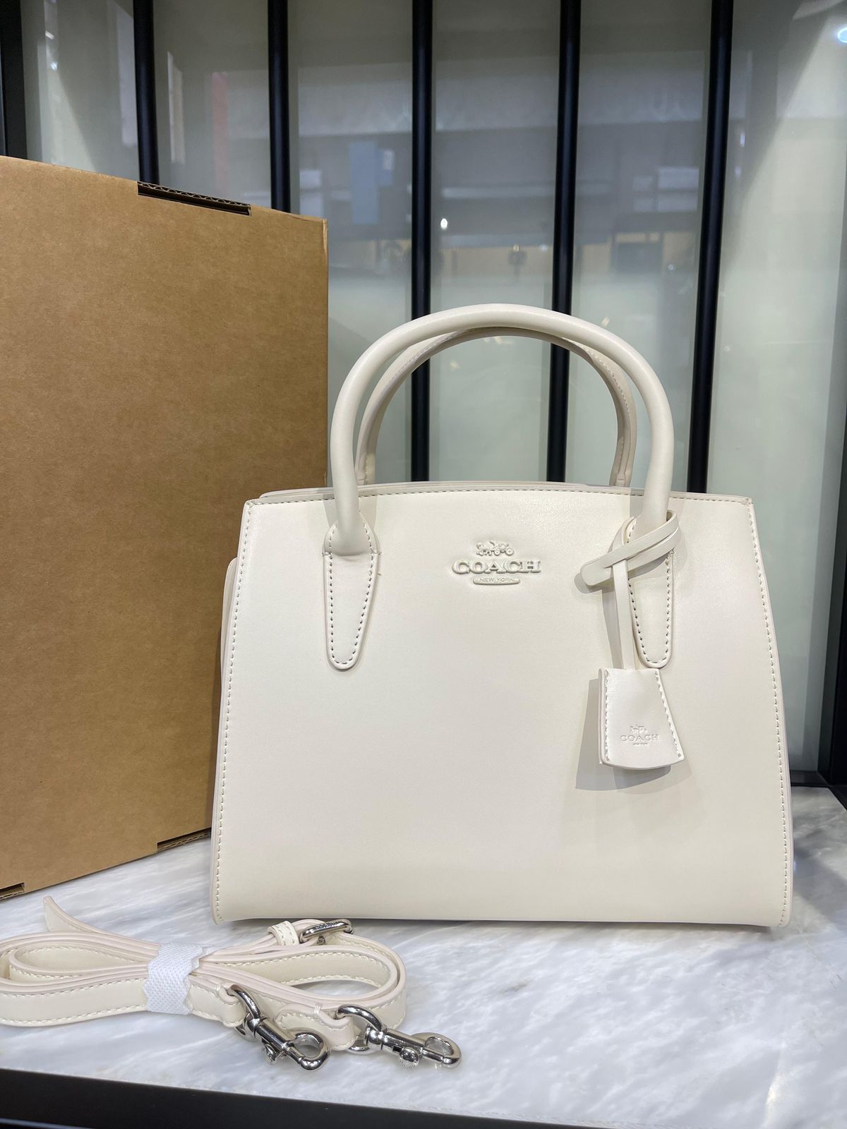 Coach Andrea Carryall Bag