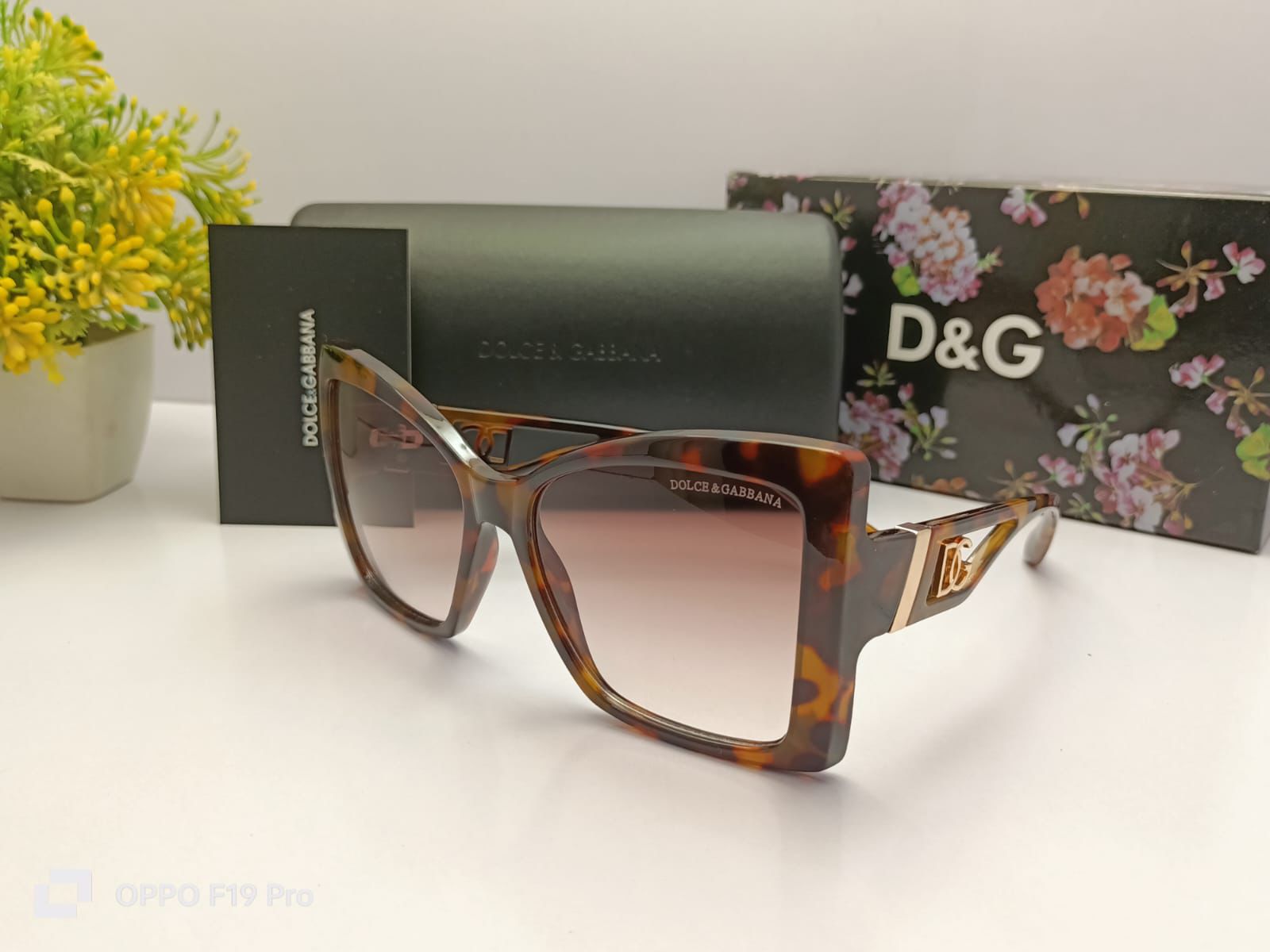 Dolce & Gabbana Chic Sunnies