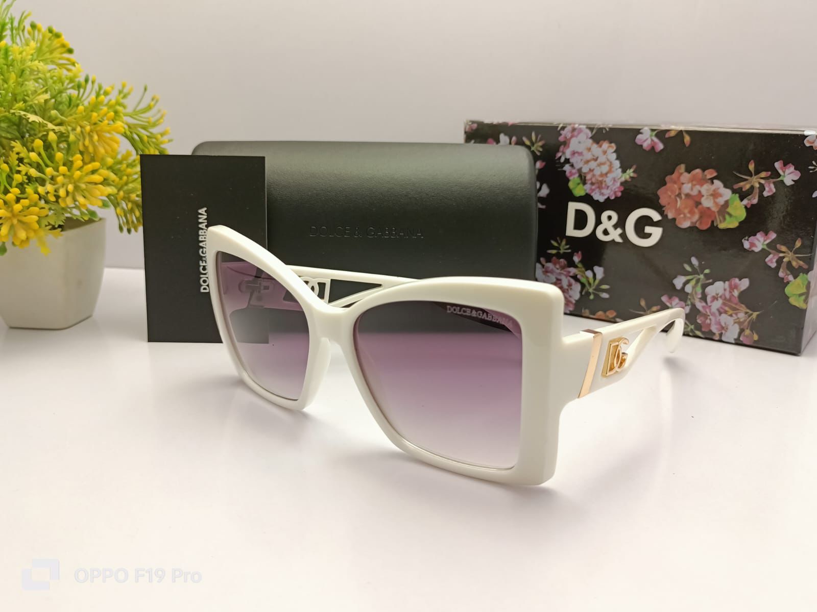 Dolce & Gabbana Chic Sunnies