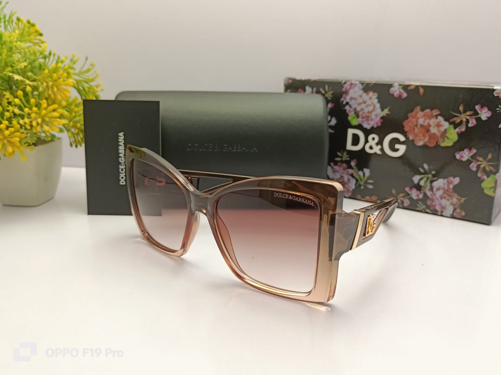 Dolce & Gabbana Chic Sunnies
