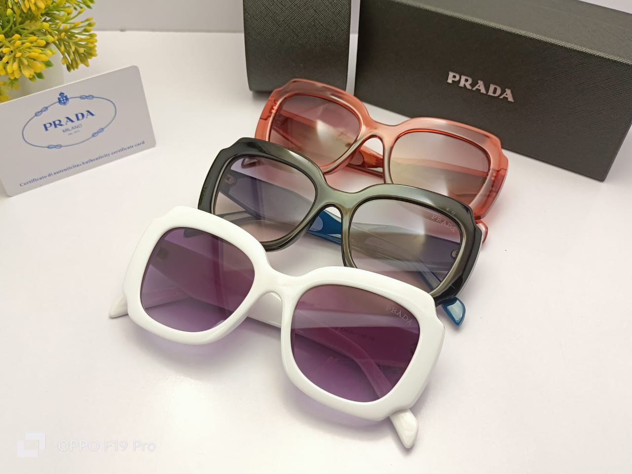 Prada Summer Signature Eyewear